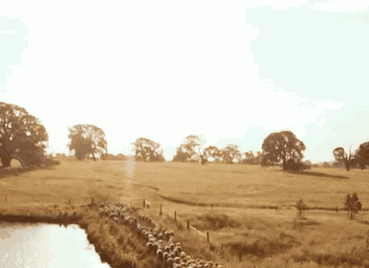 微信图片_20181107172541.gif
